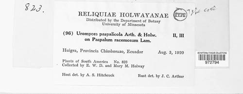 Uromyces paspalicola image